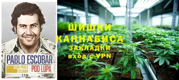 амф Алзамай
