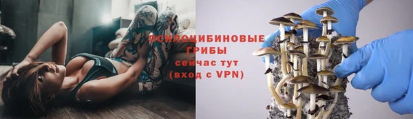 ПСИЛОЦИБИНОВЫЕ ГРИБЫ Армянск