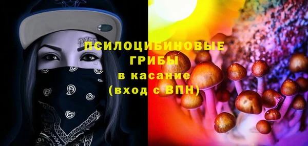 ПСИЛОЦИБИНОВЫЕ ГРИБЫ Армянск