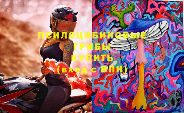 ПСИЛОЦИБИНОВЫЕ ГРИБЫ Армянск
