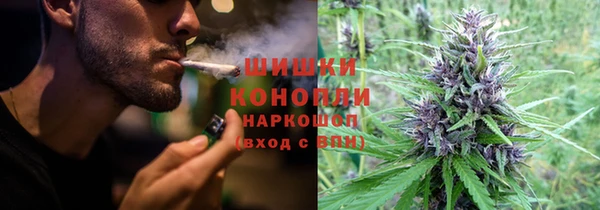 крисы Арсеньев