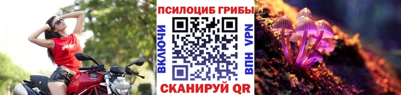 закладка  Саки  Галлюциногенные грибы MAGIC MUSHROOMS 